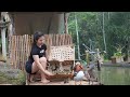 Build a new house for the ducks alone love bird live with nature triu lily