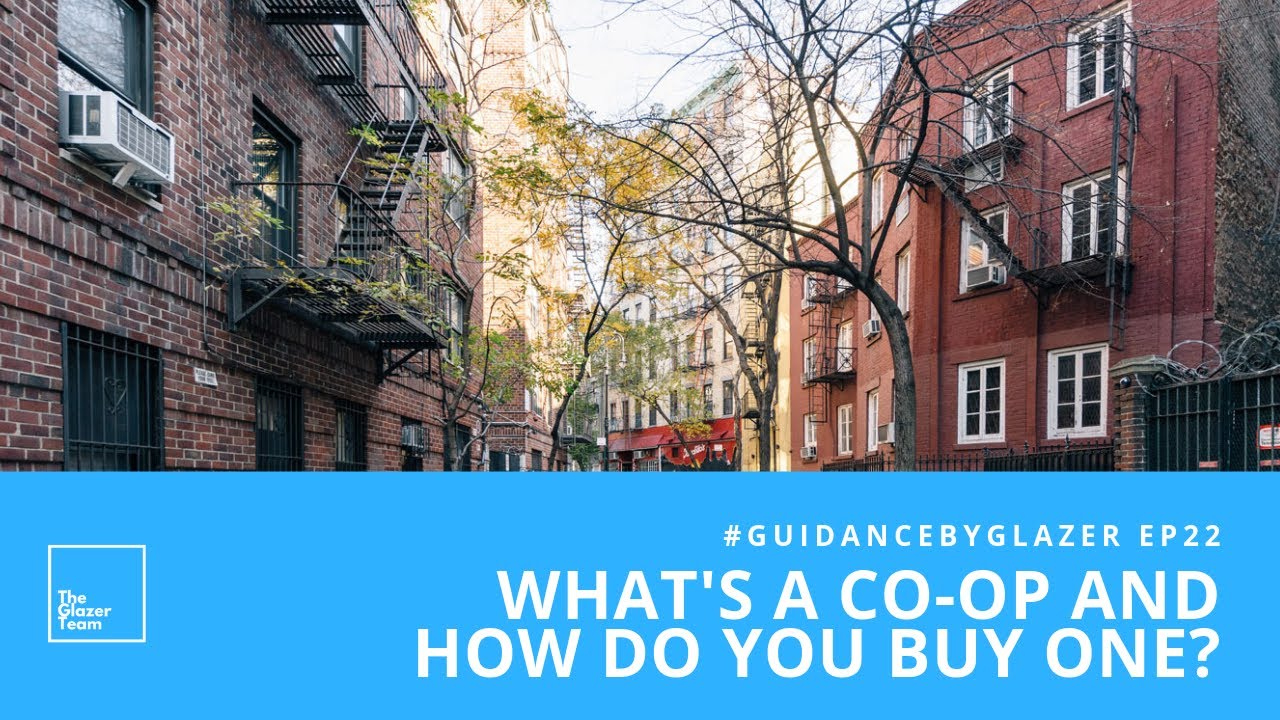 What's A Coop And How Do You Buy One? YouTube