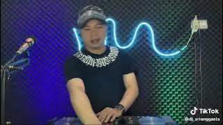 DJ arie anggasta apa kabarmu disana
