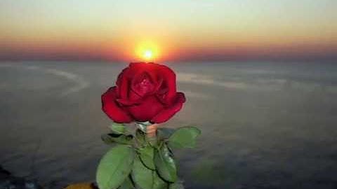 Thumbnail of É isso aí - English subtitles