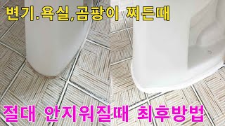 무슨짓을 해도 안지는 욕실 찌든때들 1000원 으로 완전히 없애는 방법