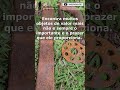 O detector revelou o passado desse terreno!