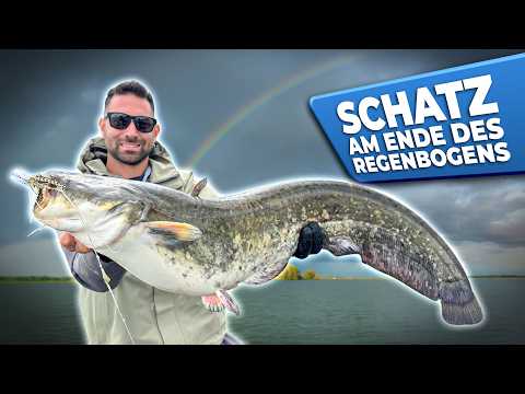 Raubfischquartet Im Fluss Welcher Schatz Verbirgt Sich Am Ende Des Regenbogens