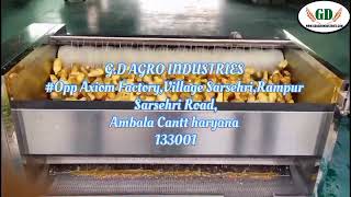 Ginger Washing and Peeling Machine | Hygienic Processing Solution by G.D. Agro Industries