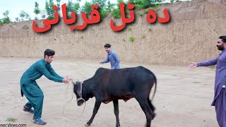 Da shariki Qurbani Eid al-Adha new funny video 2021.