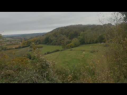 Ham Hill, Somerset Part 9