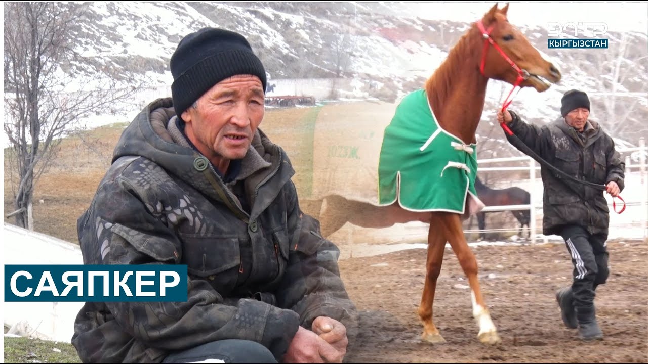 САЯПКЕР // КӨРӨҢГӨ