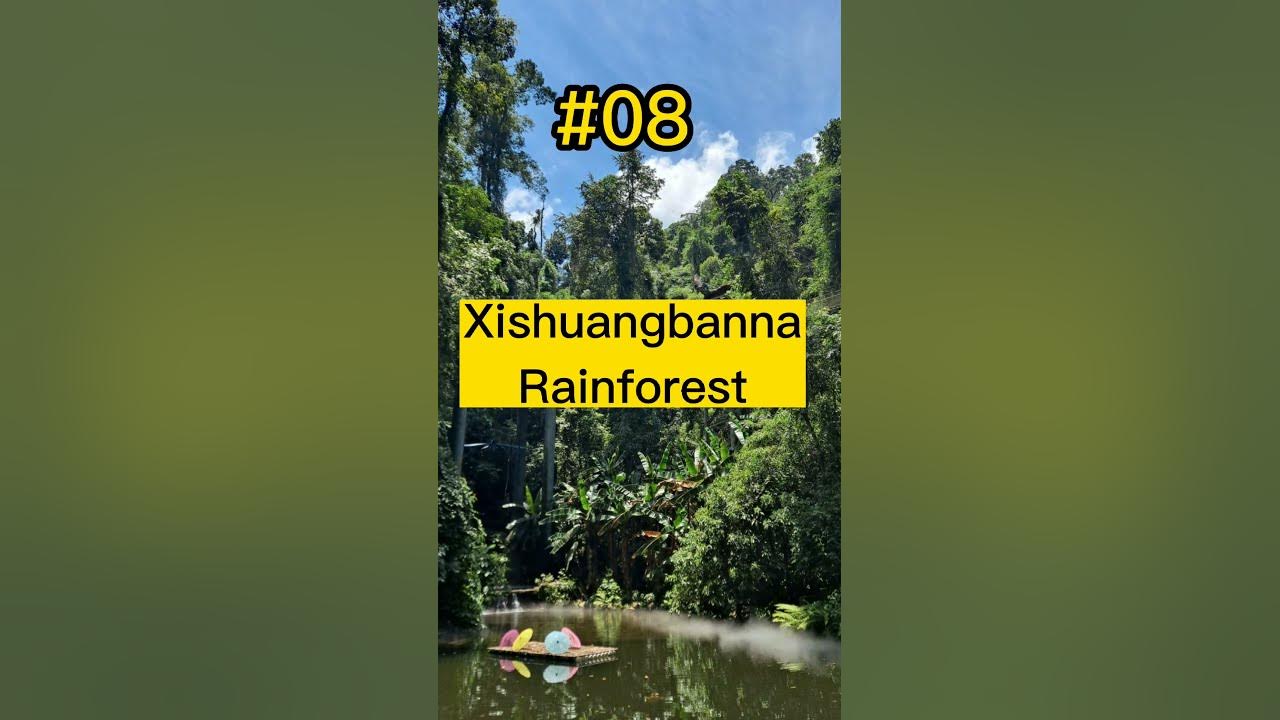 top-10-largest-forest-in-the-world-shorts-largest-forest-youtube