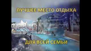 Лето на набережной в дельфинарии