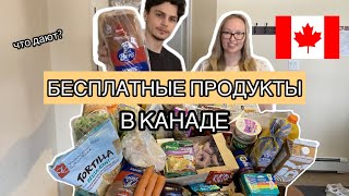 Food Bank в Канаде🇨🇦Что дают в Монктоне в бесплатном банке продуктов?😱🍆🍩