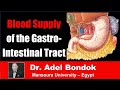 Blood Supply of the Gastrointestinal Tract, Dr Adel Bondok