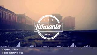 Martin Garrix  Forbidden Voices