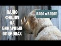 Палю Фишку на бинарных опционах