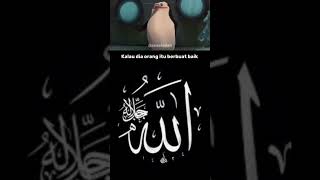 pingwin islam😭