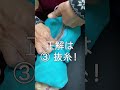 抑制具にくるまれるうさぎがかわいすぎる