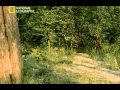 National Geographic - Ape Man : Search for the First Human (2005)