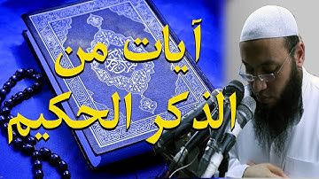 ايات من الذكر الحكيم وتلاوة يأنس لها القلب من سورة فصلت للقارئ احمد السعيد مندور