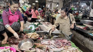 Market show: Buy snakehead fish and cooking - Cooking with Sreypov