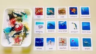 🌊 Ocean Animals Matching Activity