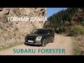 Поездка на Subaru Forester 2023 на плато Ассы. Кроссоверы Субару Форестер в Казахстане.