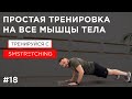 Тренировка на все группы мышц для девушек в домашних условиях | SMSTRETCHING