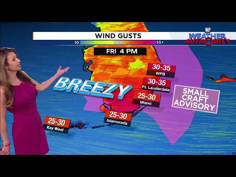 Weather Authority lanza advertencia para embarcaciones pequeñas por riesgo de ráfagas de viento