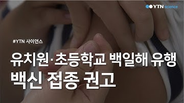 유치원·초등학교 백일해 유행...백신 접종 권고 / YTN 사이언스