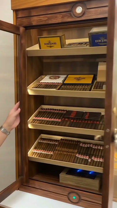 Humidor Cigar Lounge in Egypt 🔥 | Best Cigar Storage by Royal Ember
