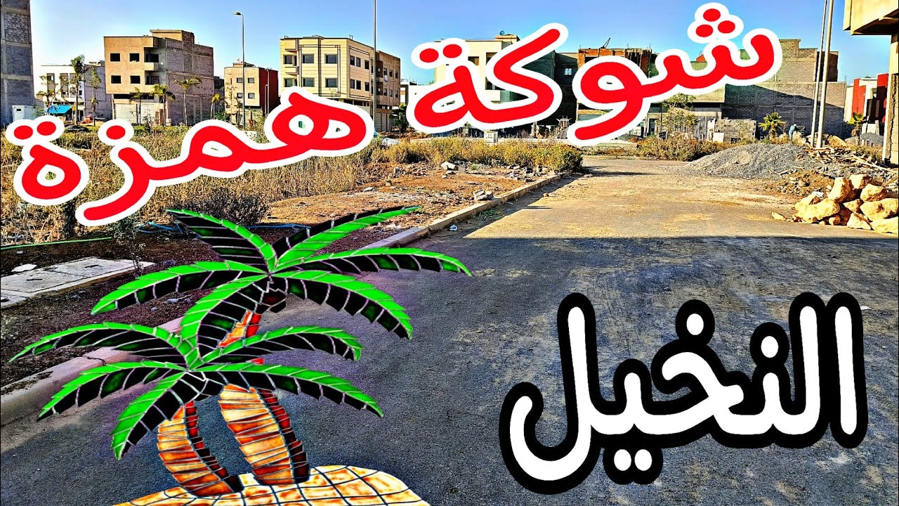 بقعة تمن راس مالها 🌟 شارع 30 عين عودة