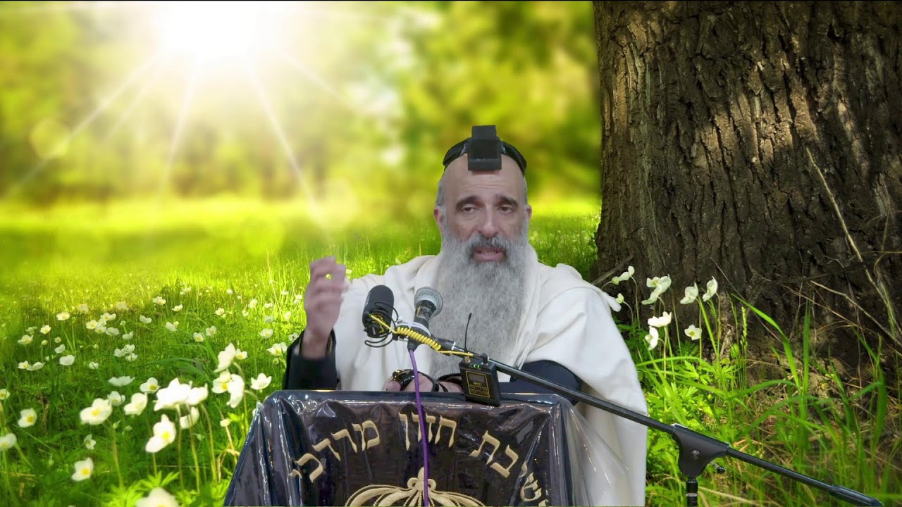הרב מאיר דוד שמואלי -  השבוע הגורלי !!