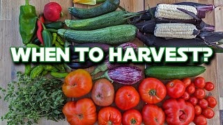 When & How I Harvest Summer Vegetables For Peak Flavor