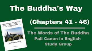 (Pali Canon Study Group) The Buddha's Way - Volume 10 - (Chapter 41-46) at Wat Tung Yu