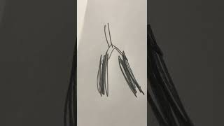Albert finger noodle #funny