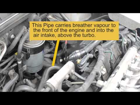 How To Replace Timing Belt 1 9 Cdti Jtdm Cambelt Doovi
