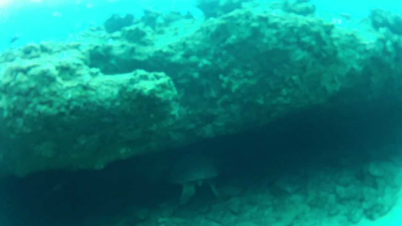 Electric Beach April 1st 2012 YouTube