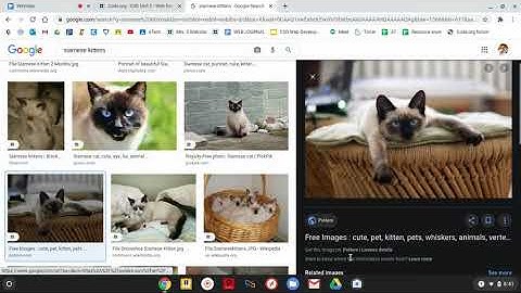 Computer Science Discoveries   U2L9   #6