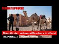 Reportage rfi aprs dix ans dabsence les touristes reviennent fouler le sable de ladrar