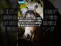 2026年5月14日【競馬情報】【ヴィクトリアM】6頭が調教後馬体重で2ケタ増を計測 16キロの大幅増は東京巧者のラヴァンダ #Shorts