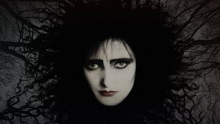 Siouxsie &amp; The Banshees ✣ Head Cut ✣