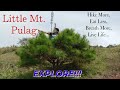 Little Mount Pulag - Mt. Yangbew Adventure