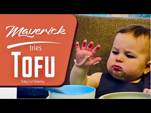 Can 1 Year Old Have Tofu