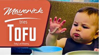 Maverick tries Tofu - Baby Led Weaning (1 Year Old)