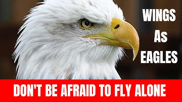 The Eagle Attitude and Mentality for Success | Unstoppable Motivational Video |  Motivation For Life