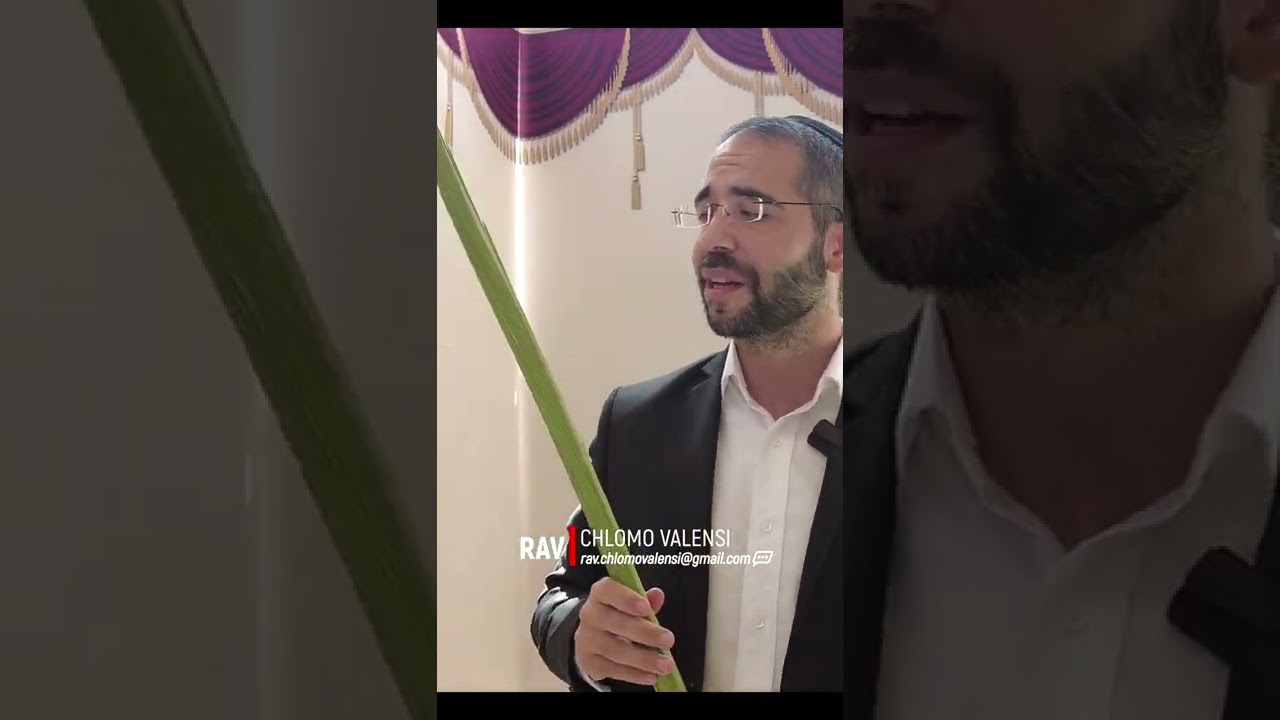 🎙️ La Segoula / Secret Du Loulav 🔥🥳 Fêtes de Souccot ✡️ Rav Chlomo Valensi