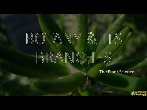 Branches of Botany | Botanical Science Sub branches