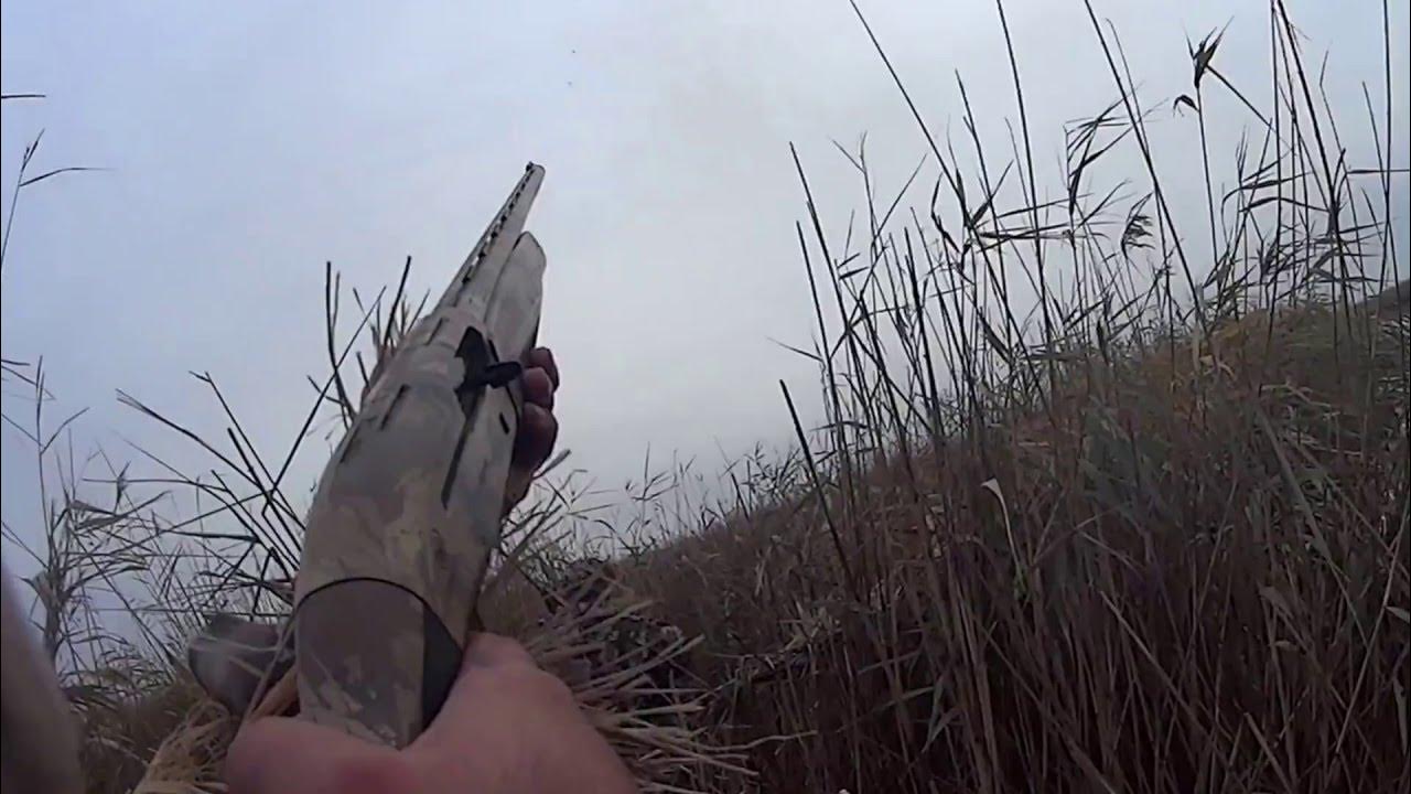 Грек охота. Диана богиня рубенс. Питер пауль рубенс – диана и нимфы,. Ян вильденс. Охота в декабре на кого.