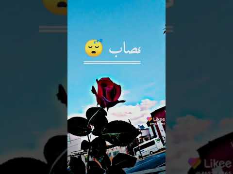 حالات واتس اب غريب ال مخلص مخنوقققق