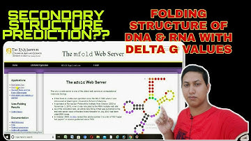 mfold folded  DNA/RNA Secondary structer prediction | Bioinformatics webserver practical