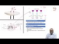 L3. Electron Sources: Types of Electron Sources