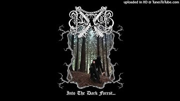 Elffor "intro (those dark battles)" take from  "Into The Dark Forest" debut album!!